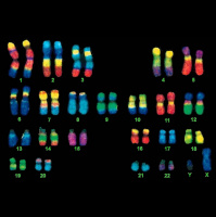 #77 - The Moral Complexity of Genetics