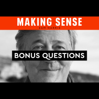 Bonus Questions: Stephen Fry