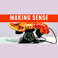 #235 - A Call from Ricky Gervais