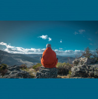 #96 - The Nature of Consciousness