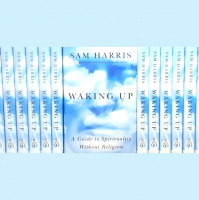 #3 - WAKING UP: Chapter One
