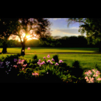 #43 - What Do Jihadists Really Want?