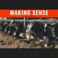 #244 - Food, Climate, and Pandemic Risk