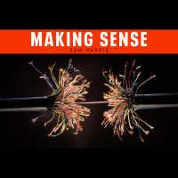 #250 - Broken Conversations