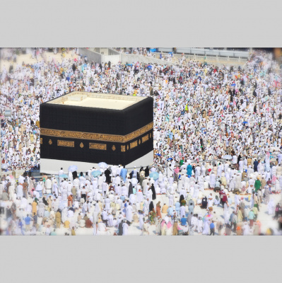 Waking Up With Sam Harris - Subscriber Content