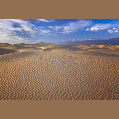 Waking Up With Sam Harris - Subscriber Content