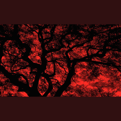 Waking Up With Sam Harris - Subscriber Content