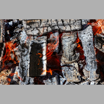 Waking Up With Sam Harris - Subscriber Content