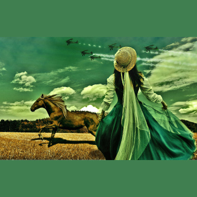 Waking Up With Sam Harris - Subscriber Content