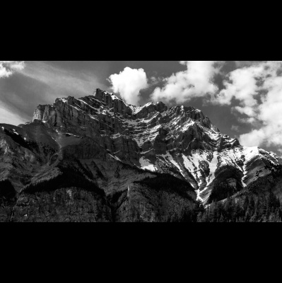 Waking Up With Sam Harris - Subscriber Content