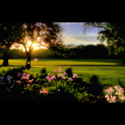 Waking Up With Sam Harris - Subscriber Content