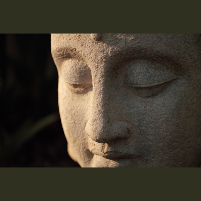 Waking Up With Sam Harris - Subscriber Content