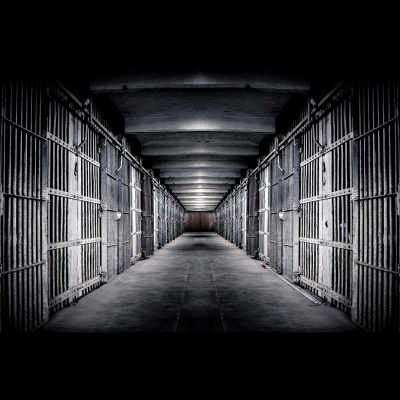 Waking Up With Sam Harris - Subscriber Content