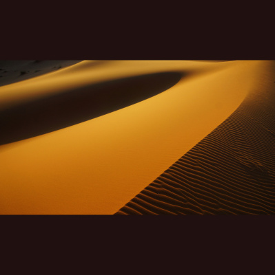 Waking Up With Sam Harris - Subscriber Content