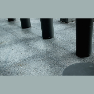 Waking Up With Sam Harris - Subscriber Content