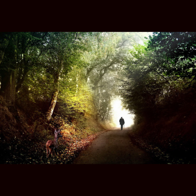 Waking Up With Sam Harris - Subscriber Content