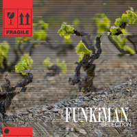 FUNKiMANs SELECTION 0118 - Hector Moralez Guest Mix