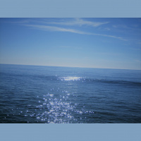 My Pal Sammy: Kobe Bryant (RIP Black Mamba)