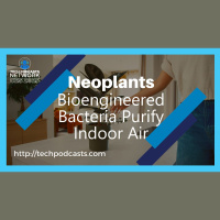 How Neoplants is Enhancing Nature Through Innovative Air Purification