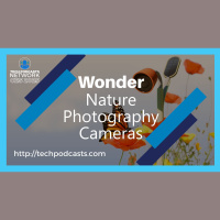 Bird Buddys Evolution: From Bird Feeders to Wonderful Garden Cameras