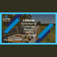 Lifehive Fights Varroa with Innovative Solutions for Beekeepers