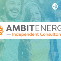 Independent consultants needed