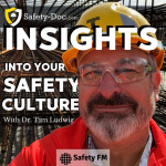 Insights Into Your Safety Culture