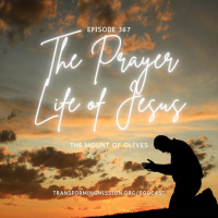 Episode 367: The Prayer Life of Jesus - The Mount of Olives