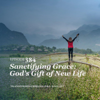 Episode 384: Sanctifying Grace - Growing in Love