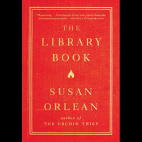 SBPL Coffee Break - Dolly Knight (Episode 16)