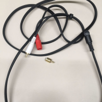 SBPL Coffee Break - Jen Lemberger (Episode 1)