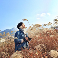 年华似茶，冷暖在天涯 - 贺枫大叔