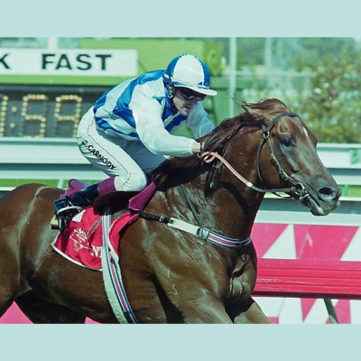 John Tapp Racing