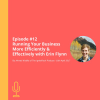 Episode #12 - Running Your Business More Efficiently amp Effectively with Erin Flynn