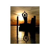 How Honor Yoga is rocking the fitness world Honor Yogo, a different type of Yoga franchise