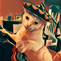 Cat With Sombrero