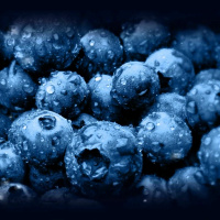 Trance - Probspot Tribute Mix