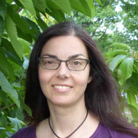 Selecting the Right Fruit Tree