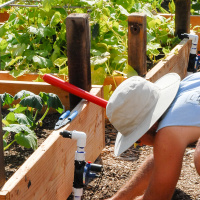 Drip Irrigation Systems