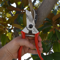 Essential Tools for Gardeners