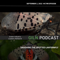 Smashing the Spotted Lanternfly