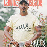 The Goodness of Green