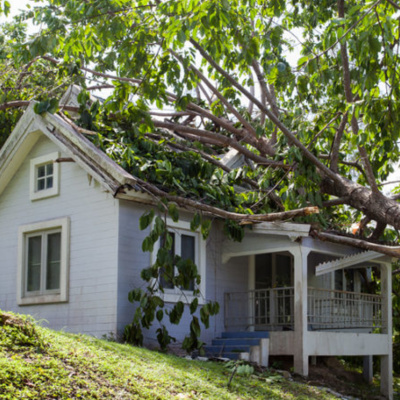 Green Industry Leaders Network