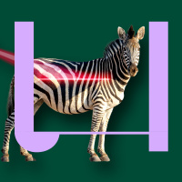 733. Waarom heeft een zebra strepen? 