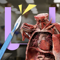 Wat gebeurt er als je je lichaam doneert aan de wetenschap?