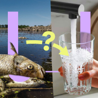 765. Raakt ons schone drinkwater op?