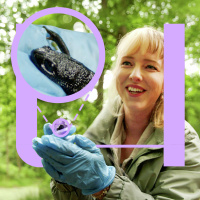 739. Is dit de dodelijkste mutatie ooit?