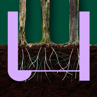 Colleges Van Topwetenschappers