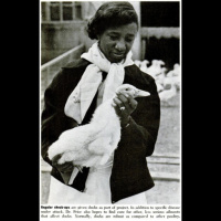 Episode 073 - Jessie Isabelle Price | Bacteriologist