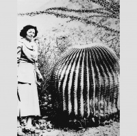 Episode 072 - Helia Bravo Hollis | Botanist